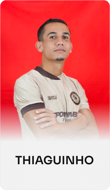 Thiaguinho Martins